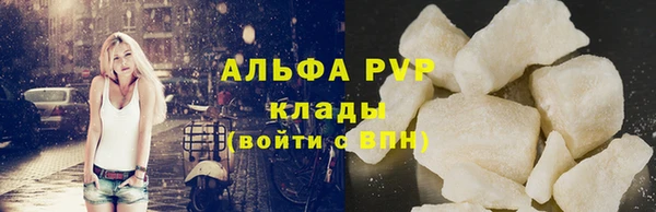 сатива Нефтекумск