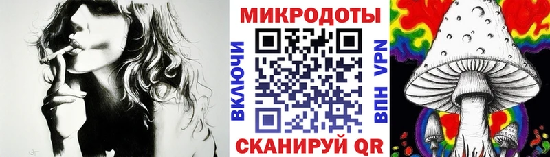 Псилоцибиновые грибы прущие грибы  Суздаль 